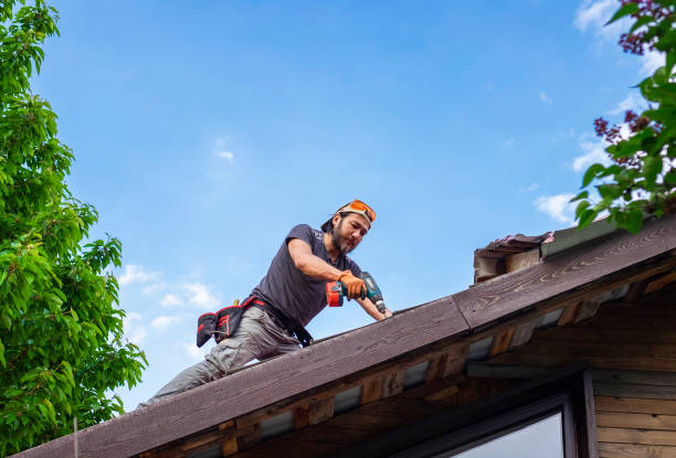 Best Asphalt Shingle Roofing  in Lake Shore, UT