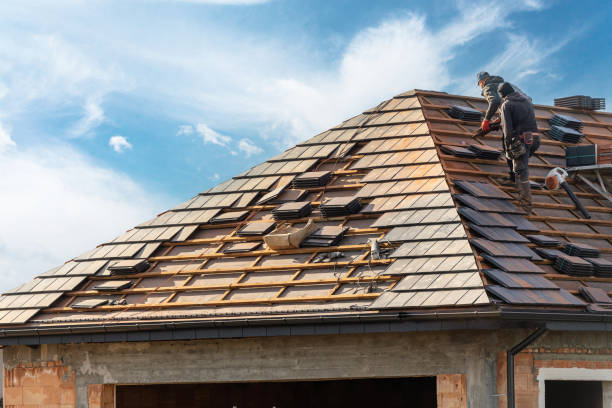 Best Roof Moss and Algae Removal  in Lake Shore, UT