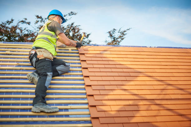 Best Roof Leak Repair  in Lake Shore, UT